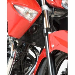 R&G Radiator Guard Black For Suzuki Inazuma 250